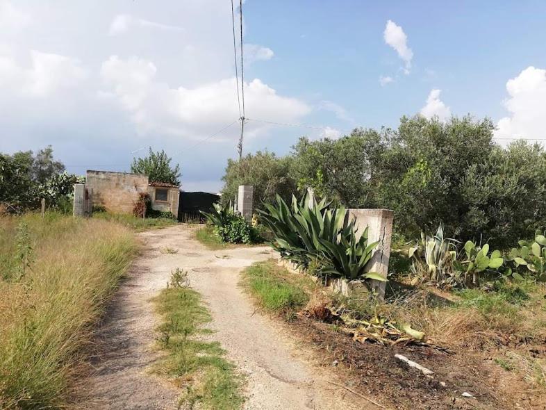 La Casa In Campagna Di Ottavia Alezio Exterior photo